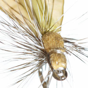 Dead Drift Not Required<span><br><span>Trout love moving targets and Caddis flies swim. This Superfly is one of the best.<br><a href='http://www.superflies.us' target='blank' style='text-decoration:underline;color:#ddd'><b>Read More</b></a></span></span>